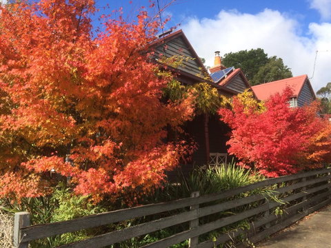 Chestnut Daylesford - Your Accommodation 13