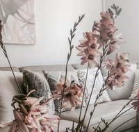 Bed of Roses - Your Accommodation