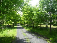 Book Wonga Park Accommodation Vacations Your Accommodation Your Accommodation