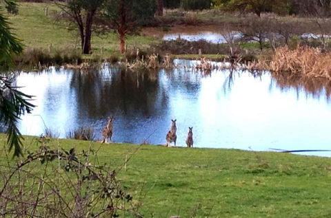 Australian Home Away @ Wonga Park Brushy Creek - Your Accommodation 17