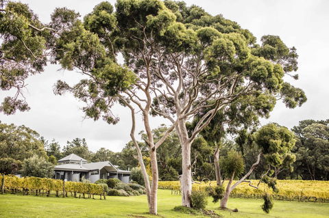 Polperro Villas - Your Accommodation 20