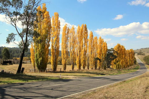 3 Bells Alpine Cottage - Your Accommodation 20