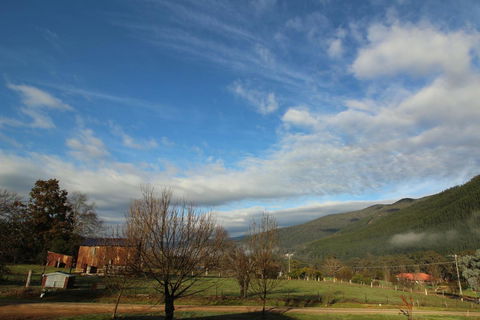 3 Bells Alpine Cottage - Your Accommodation 26