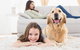 Boutique Stays - Maple On Kent - thumb 28