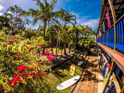 Cool Bananas Backpackers - Your Accommodation 17