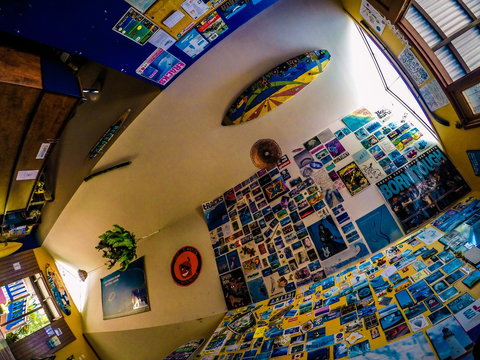 Cool Bananas Backpackers - Your Accommodation 29