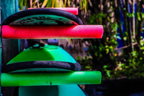 Cool Bananas Backpackers - Your Accommodation 39