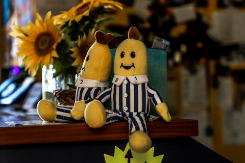 Cool Bananas Backpackers - Your Accommodation 30