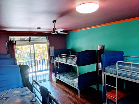 Cool Bananas Backpackers - Your Accommodation 5
