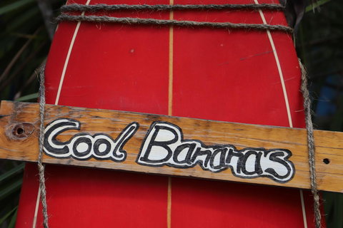 Cool Bananas Backpackers - Your Accommodation 41