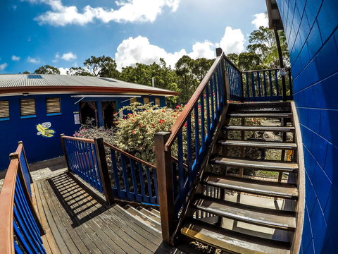 Cool Bananas Backpackers - Your Accommodation 27