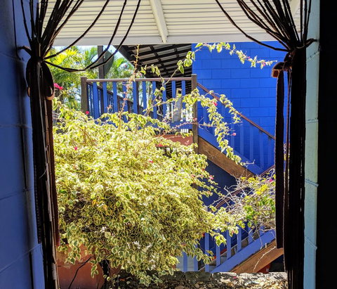 Cool Bananas Backpackers - Your Accommodation 10