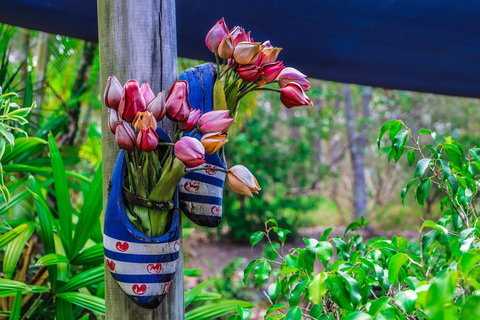 Cool Bananas Backpackers - Your Accommodation 26