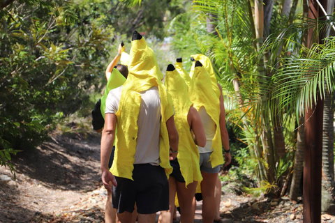 Cool Bananas Backpackers - Your Accommodation 19