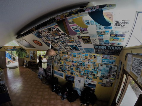 Cool Bananas Backpackers - Your Accommodation 31