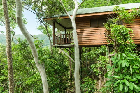 Thala Beach Nature Reserve - Your Accommodation 17