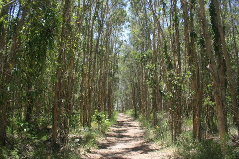 Lake Weyba Noosa Lodge & Kangaroos - Your Accommodation 39