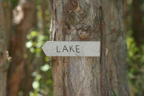 Lake Weyba Noosa Lodge & Kangaroos - Your Accommodation 36