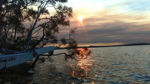Lake Weyba Noosa Lodge & Kangaroos - Your Accommodation 40