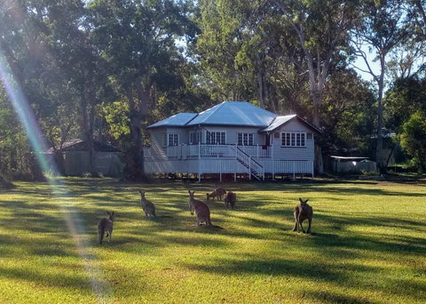 Lake Weyba Noosa Lodge & Kangaroos - Your Accommodation 0