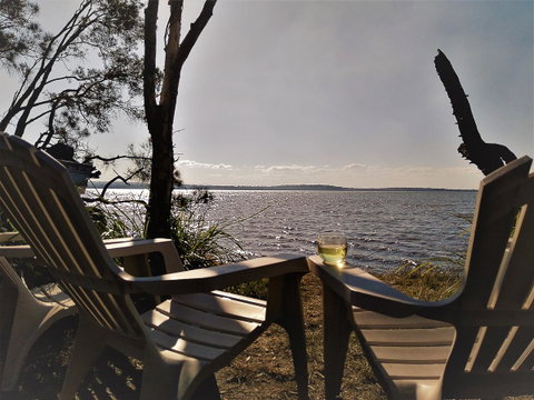 Lake Weyba Noosa Lodge & Kangaroos - Your Accommodation 3