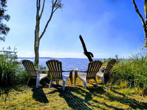 Lake Weyba Noosa Lodge & Kangaroos - Your Accommodation 44