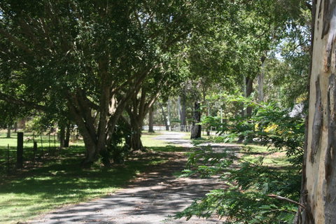 Lake Weyba Noosa Lodge & Kangaroos - Your Accommodation 34