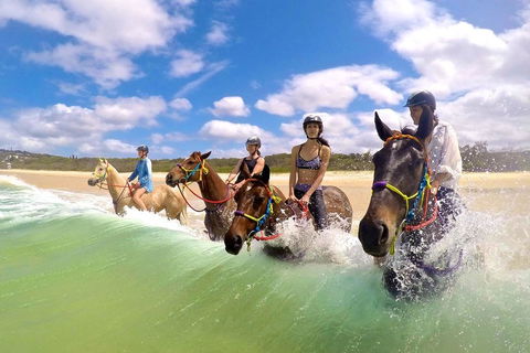 Salty Vibes Retreat - Your Accommodation 6