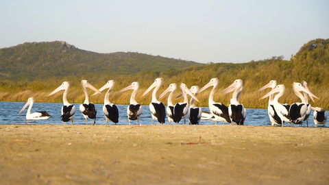 Castaways Moreton Island - Your Accommodation 11