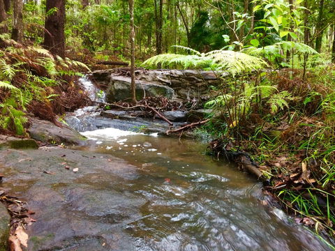 Noosa Hinterland Retreat - Your Accommodation 12