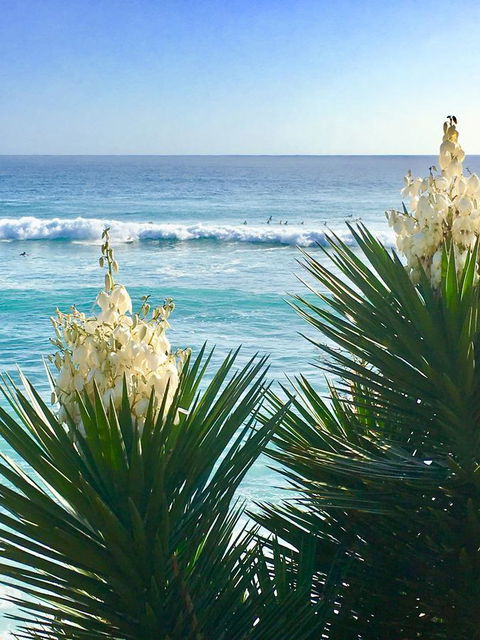 Oceania On Burleigh Beach - Your Accommodation 21