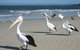 Fairways Golf & Beach Retreat Bribie Island - thumb 3