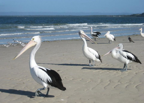 Fairways Golf & Beach Retreat Bribie Island - Your Accommodation 3