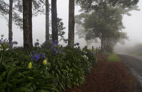 Bower 63 - Your Accommodation 26