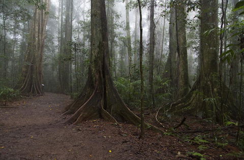 Bower 63 - Your Accommodation 38