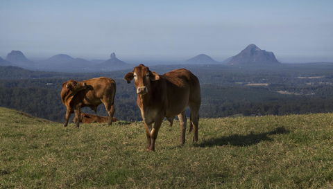 Bower 63 - Your Accommodation 29