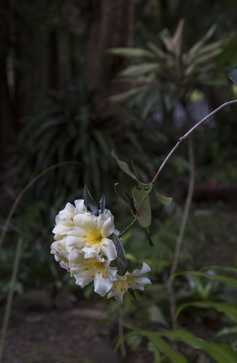 Bower 63 - Your Accommodation 18