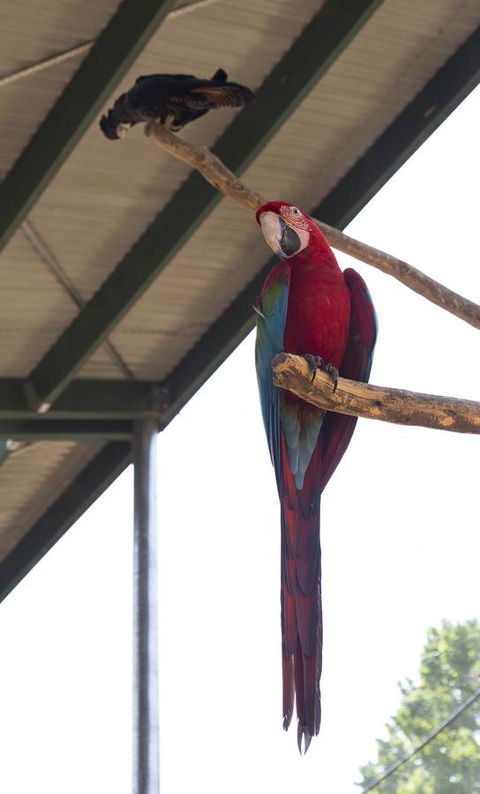 Bower 63 - Your Accommodation 36