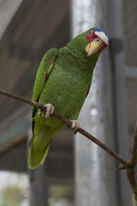 Bower 63 - Your Accommodation 34