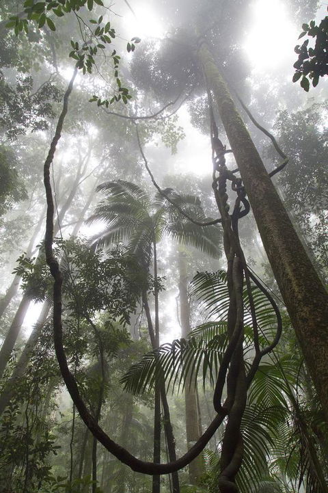 Bower 63 - Your Accommodation 39