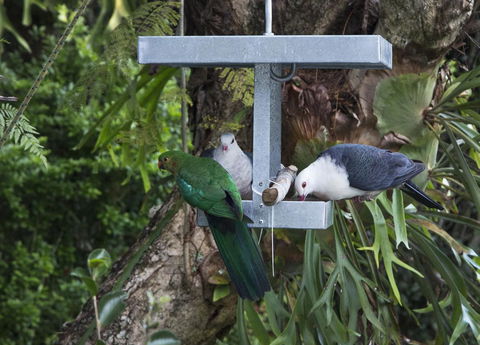 Bower 63 - Your Accommodation 22