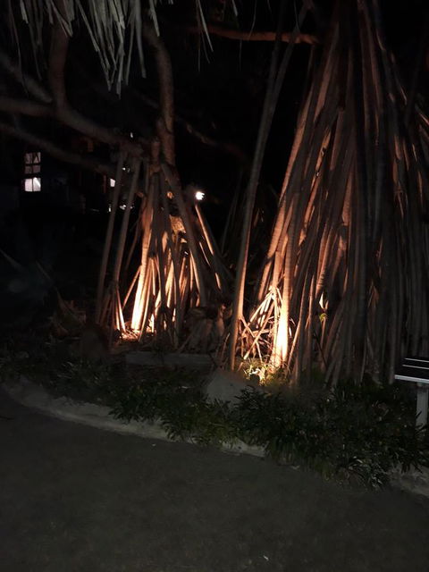 Pandanus Coolum Beach - Your Accommodation 10