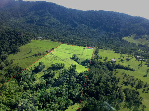 Misty Mountains Rainforest Retreat - Your Accommodation 33