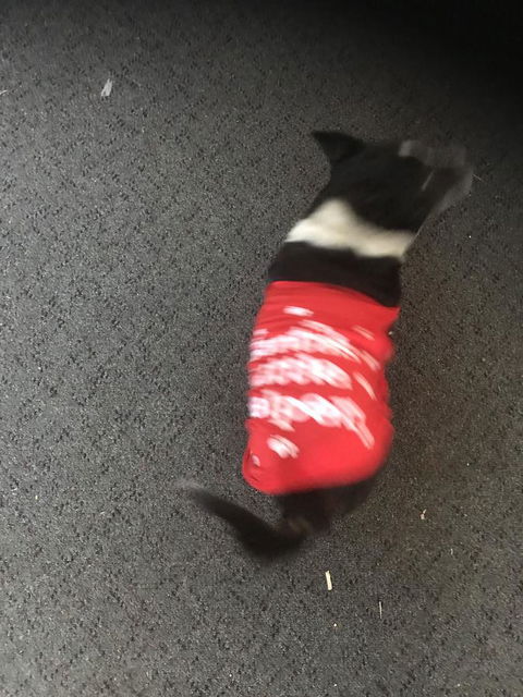 Nanango Star Motel - Your Accommodation 1