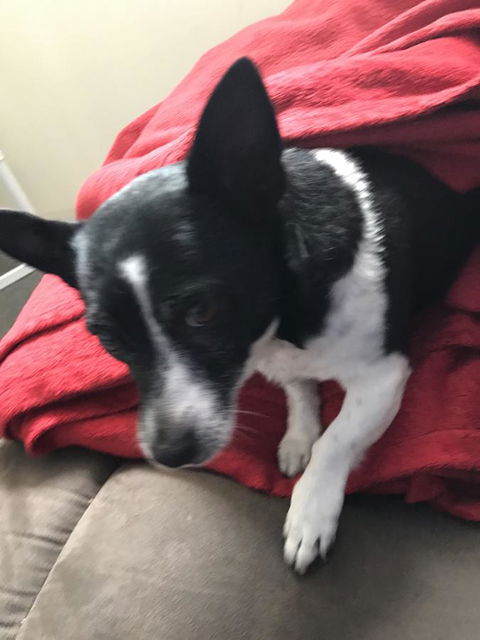 Nanango Star Motel - Your Accommodation 15