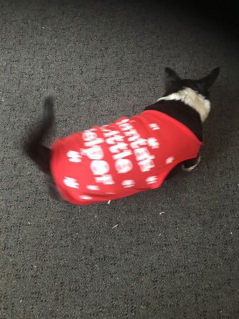 Nanango Star Motel - Your Accommodation 2