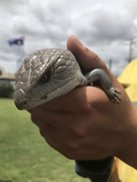 Nanango Star Motel - Your Accommodation 16