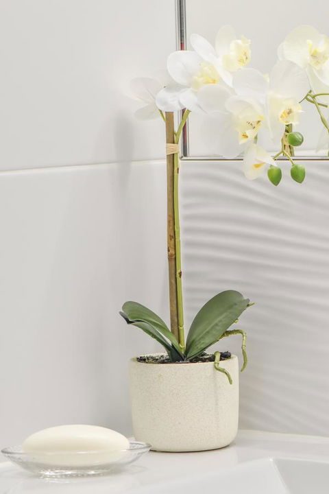 The Guesthouse Maleny - Your Accommodation 32