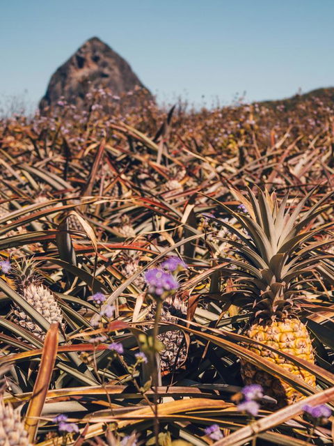 The Villa At The Bay - Your Accommodation 24