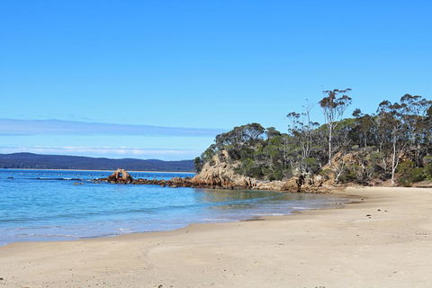 Whale Cove Circuit - Your Accommodation 1